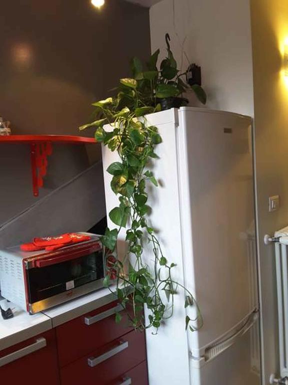 Apartment Nonno Pinin Turin